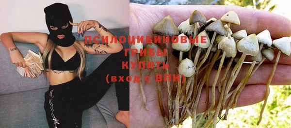 каннабис Алексеевка