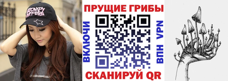 Купить  Луховицы  Галлюциногенные грибы GOLDEN TEACHER 